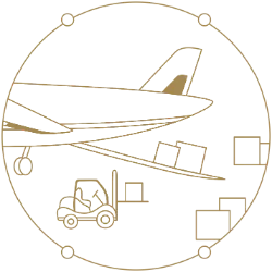 Aviation and Security Services